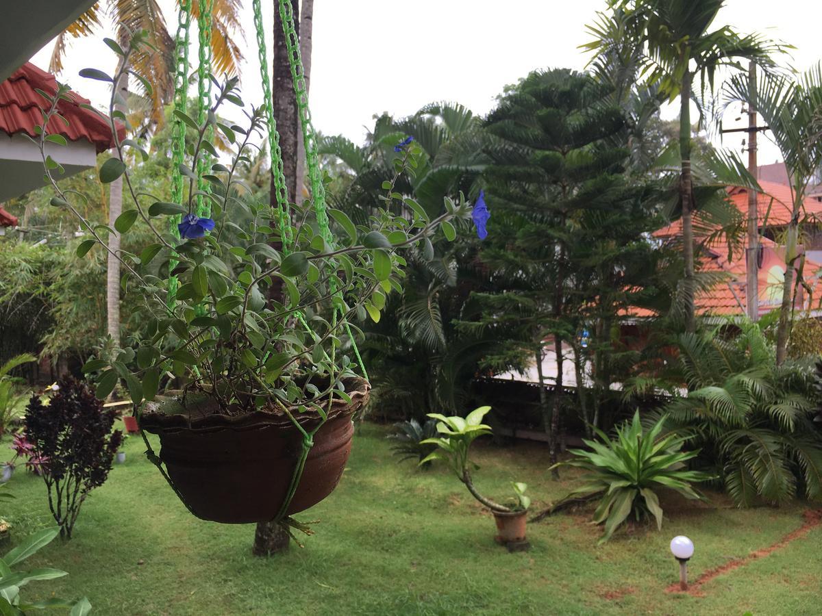 Divine Bliss Beach Resort Varkala Dış mekan fotoğraf