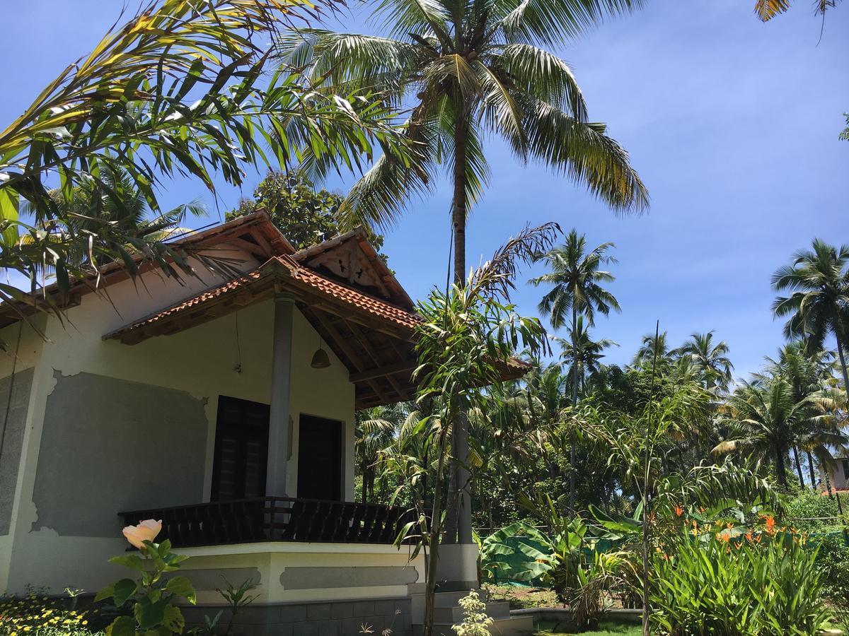 Divine Bliss Beach Resort Varkala Dış mekan fotoğraf