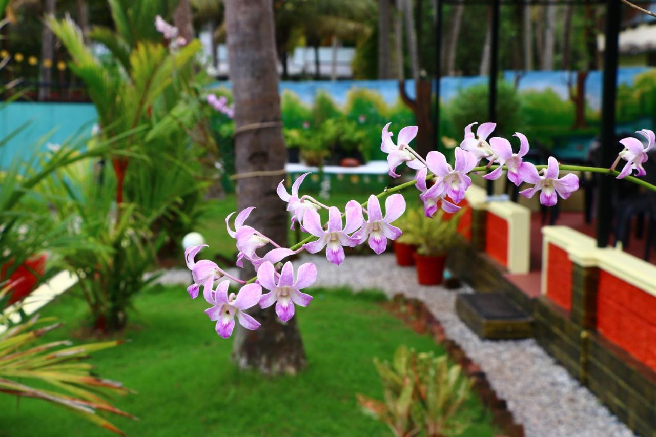 Divine Bliss Beach Resort Varkala Dış mekan fotoğraf