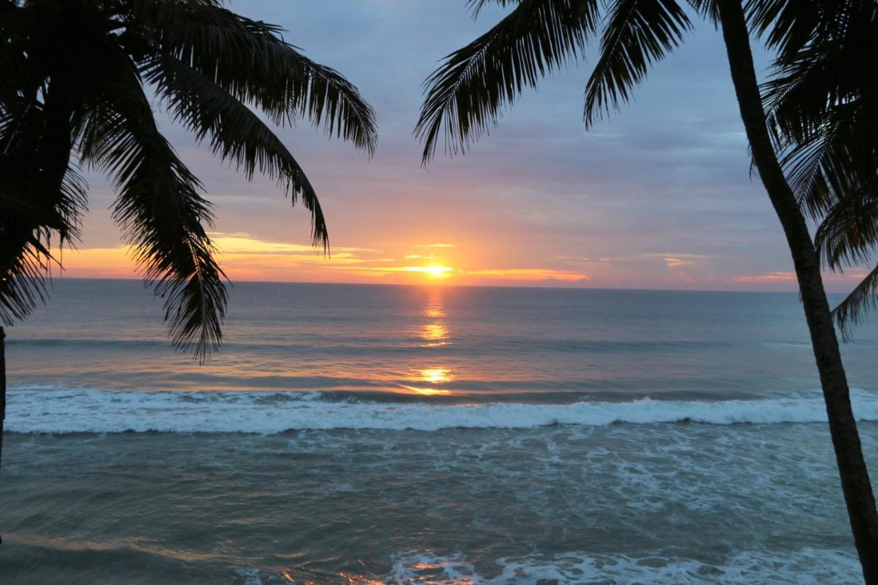 Divine Bliss Beach Resort Varkala Dış mekan fotoğraf